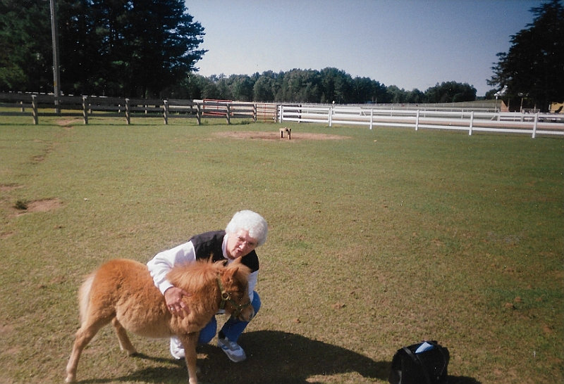 Adeline Suring mini horse.jpeg